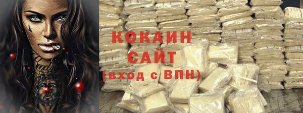 шишки Богданович