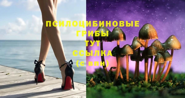 сатива Богородск