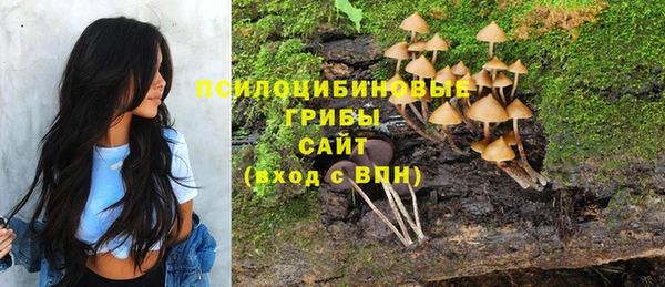 шишки Богданович