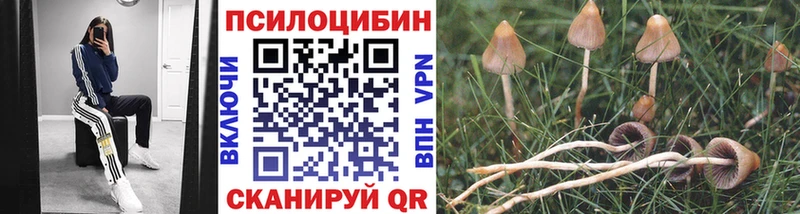 Купить где Нариманов Галлюциногенные грибы прущие грибы