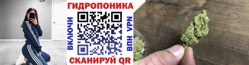 Купить  Нариманов  Конопля индика 